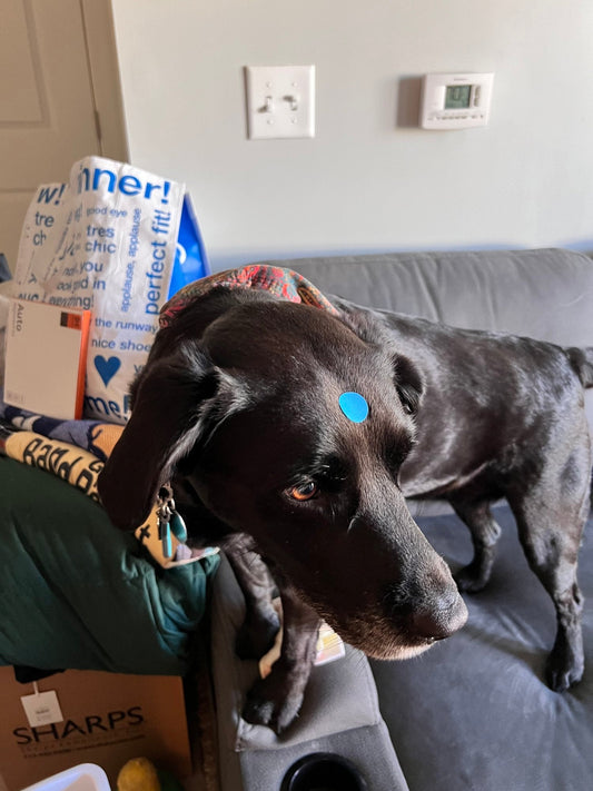 Move Update!