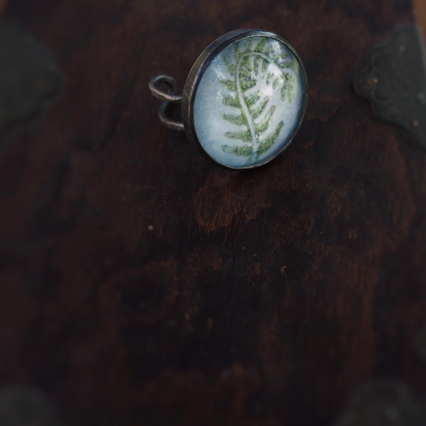Large Fern n’Capsule Ring #4 (Original)