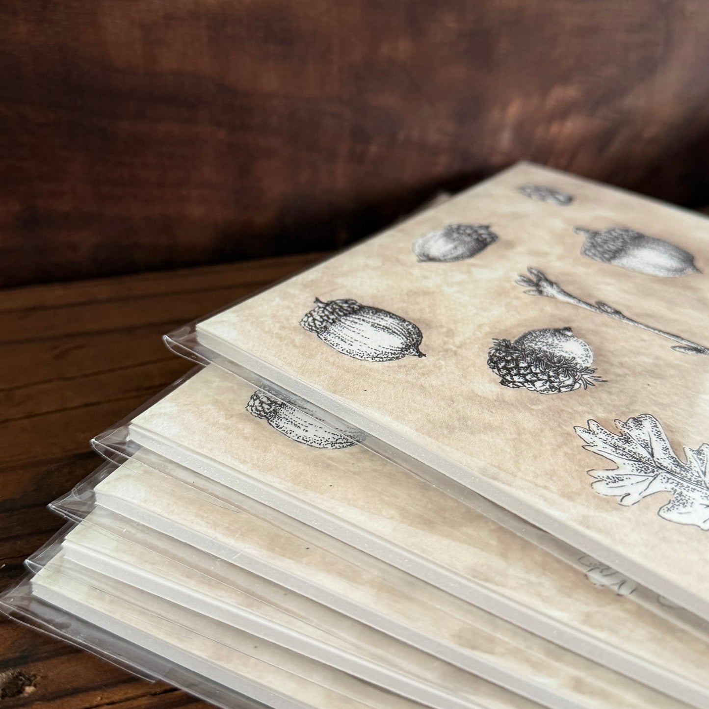 Acorn Study | Signed 5x5 Print