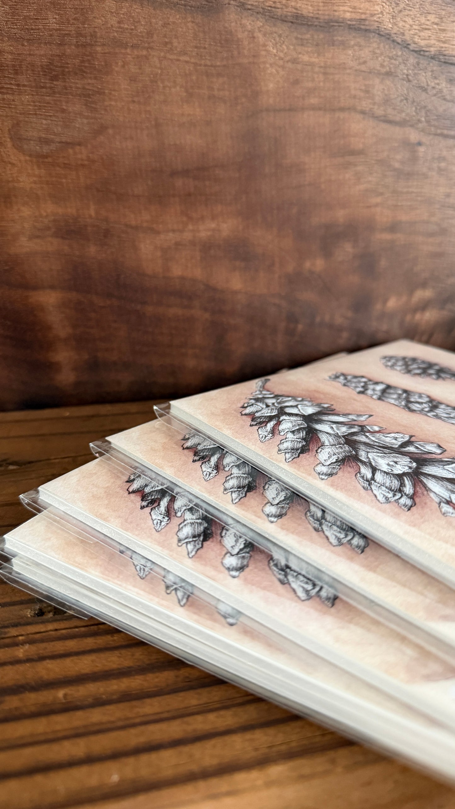 Pinecone Study | Signed 5x7 Print