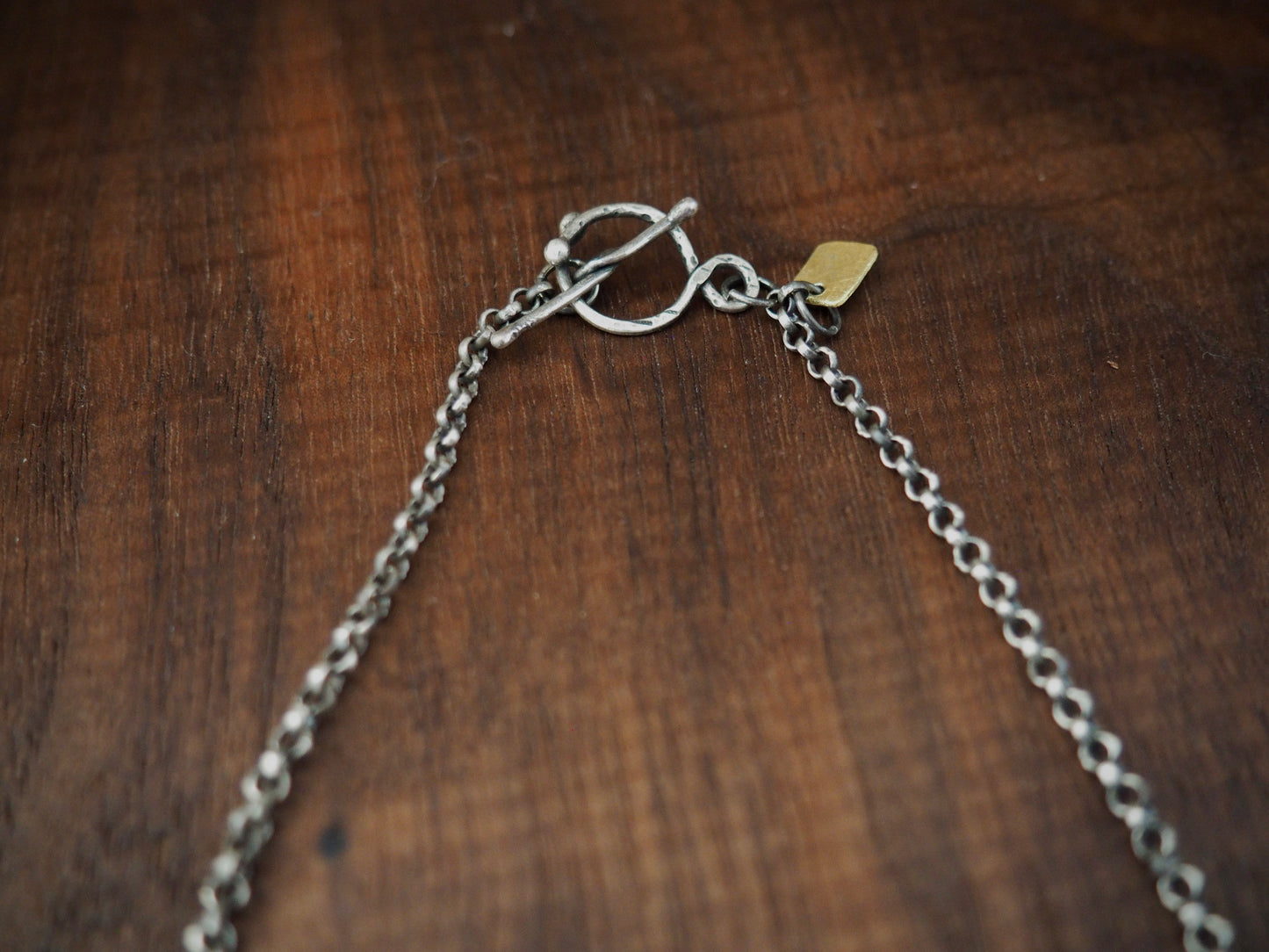 Valley Spinner Rutilated Quartz + Silver Necklace