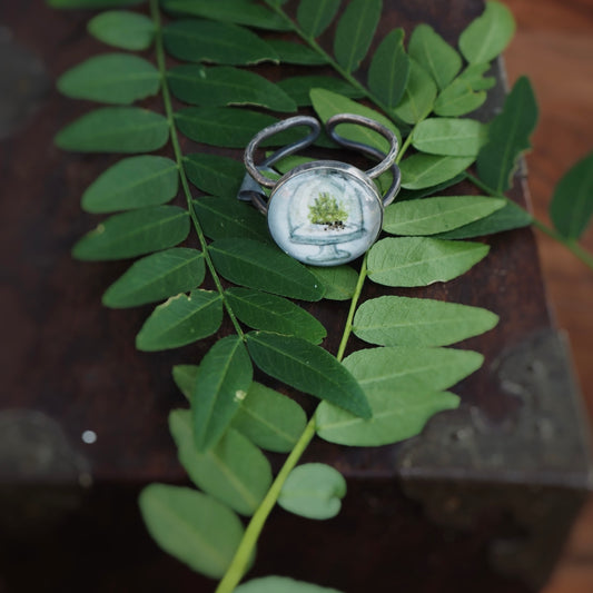 Small Moss Specimen n’Capsule Ring #1 (Original)