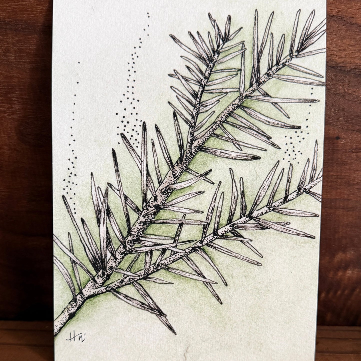 Evergreen Spirit | Signed 5x7 Print