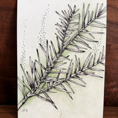 Evergreen Spirit | Signed 5x7 Print
