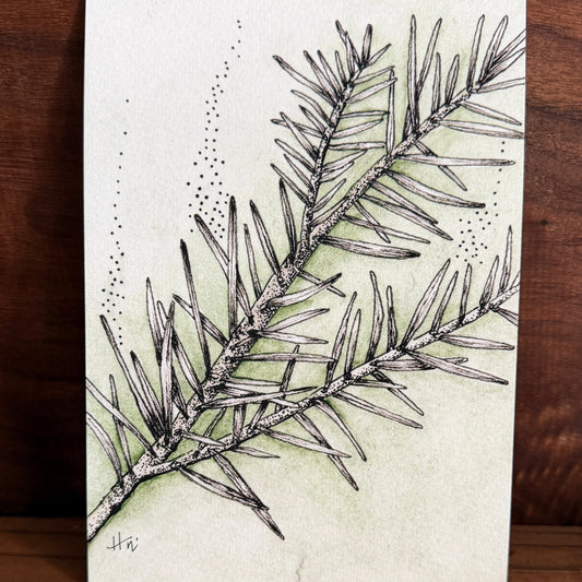 Evergreen Spirit | Signed 5x7 Print