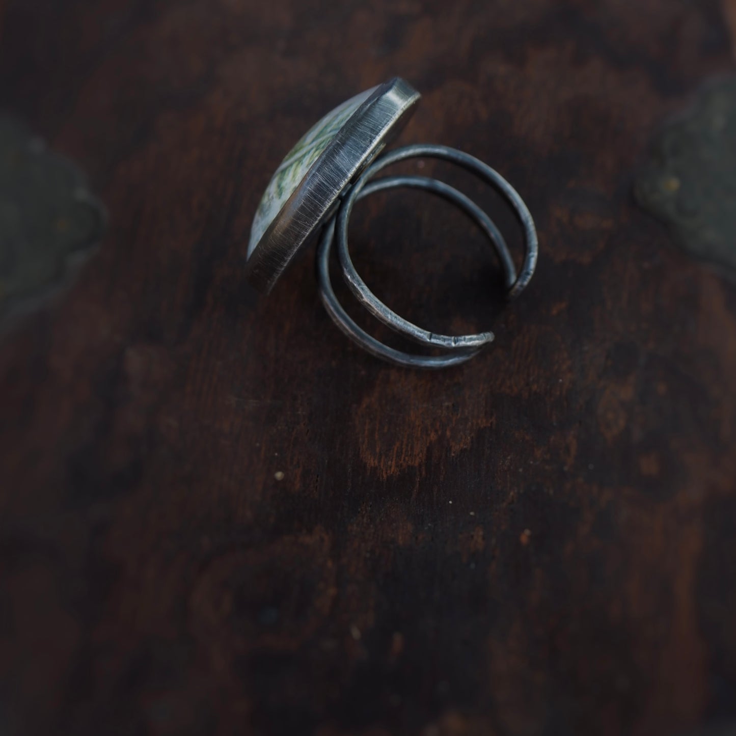 Large Fern n’Capsule Ring #4 (Original)