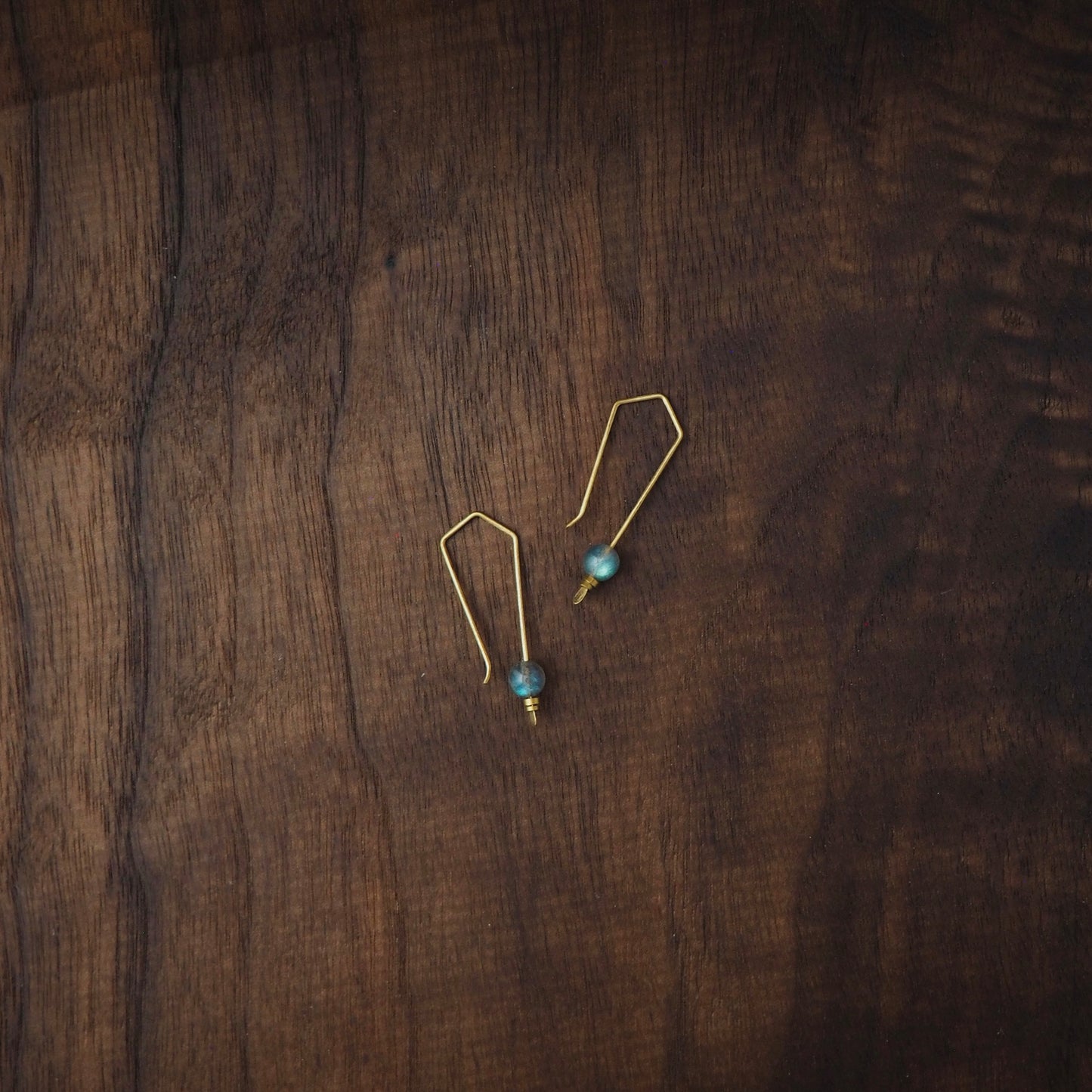 Trail Blazer Labradorite Earrings