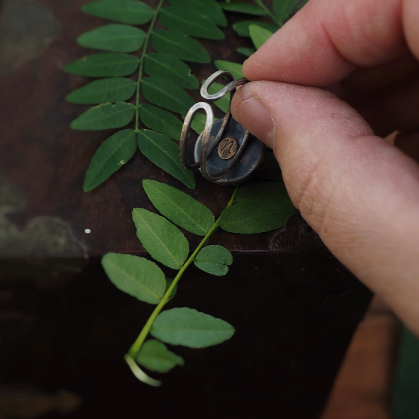 Small Moss Specimen n’Capsule Ring #1 (Original)
