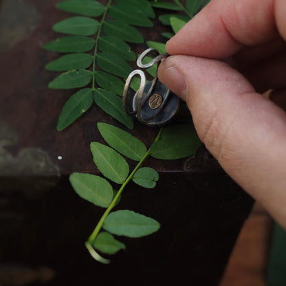 Small Moss Specimen n’Capsule Ring #1 (Original)