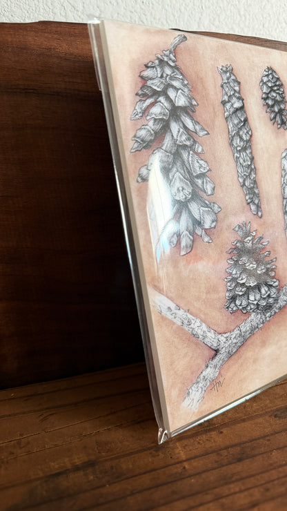 Pinecone Study | Signed 5x7 Print