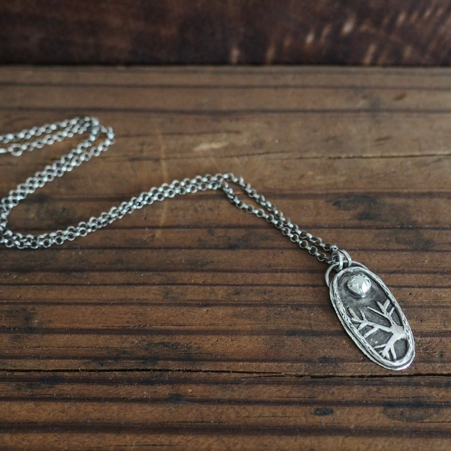 Essence of Snow Curio Necklace #6