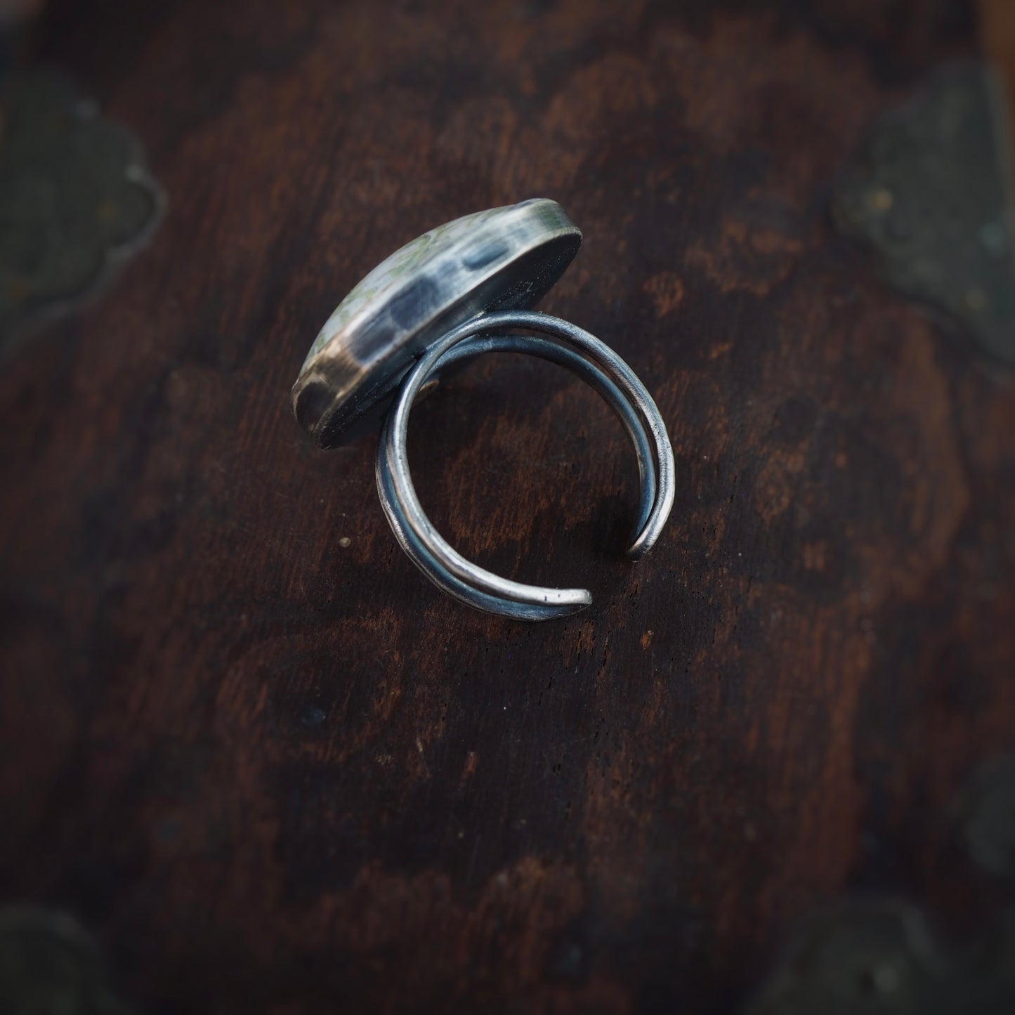 Large Fern n’Capsule Ring #1 (Original)