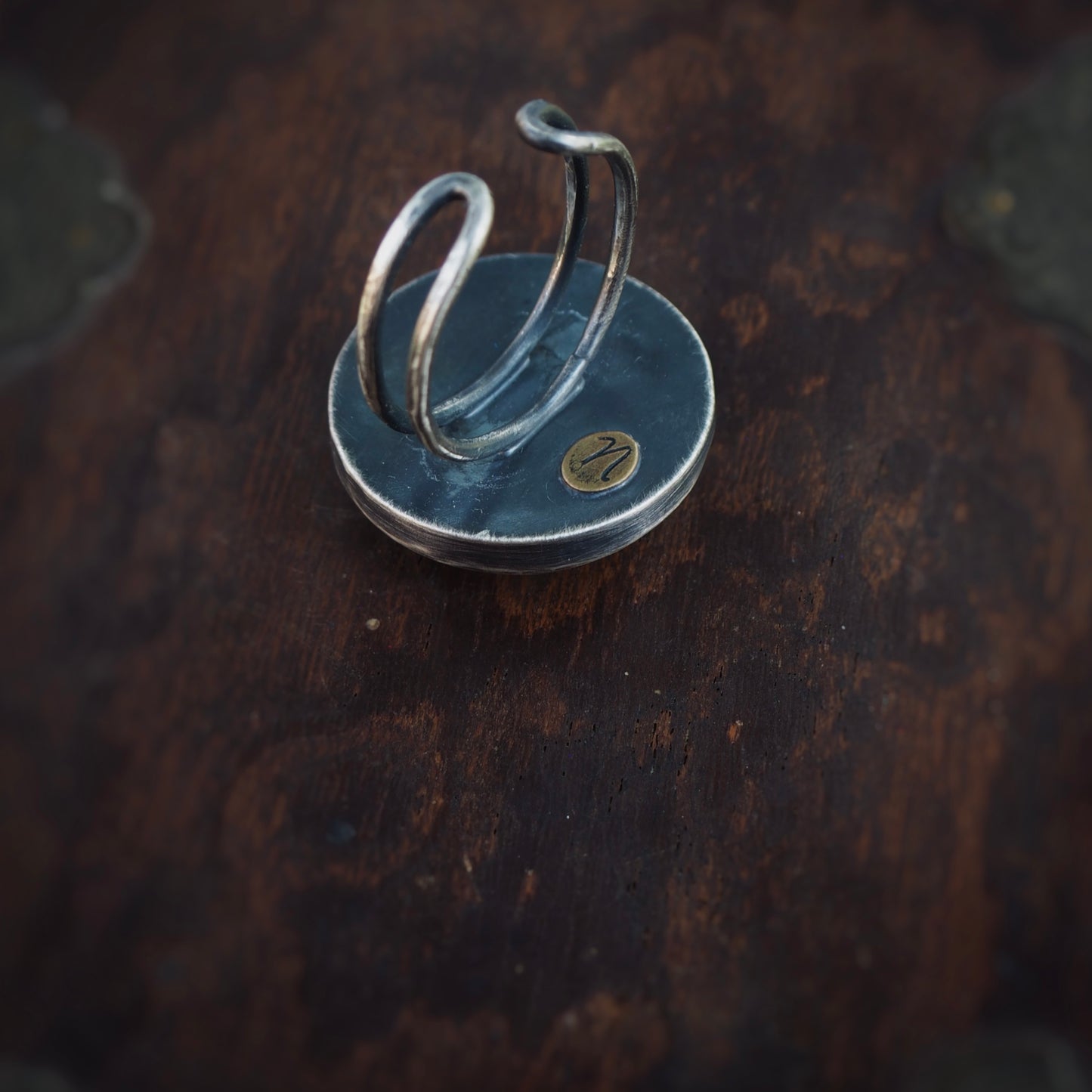 Large Fern n’Capsule Ring #1 (Original)